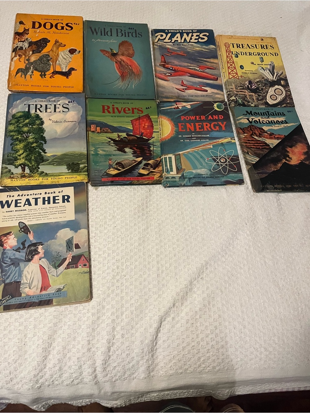 Vintage Children's Nature Books Collection - Multicolor